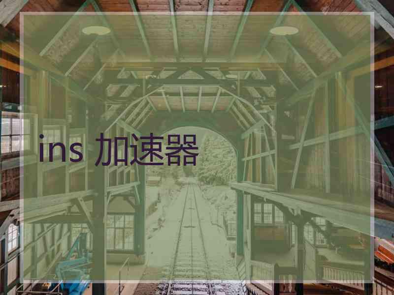 ins 加速器