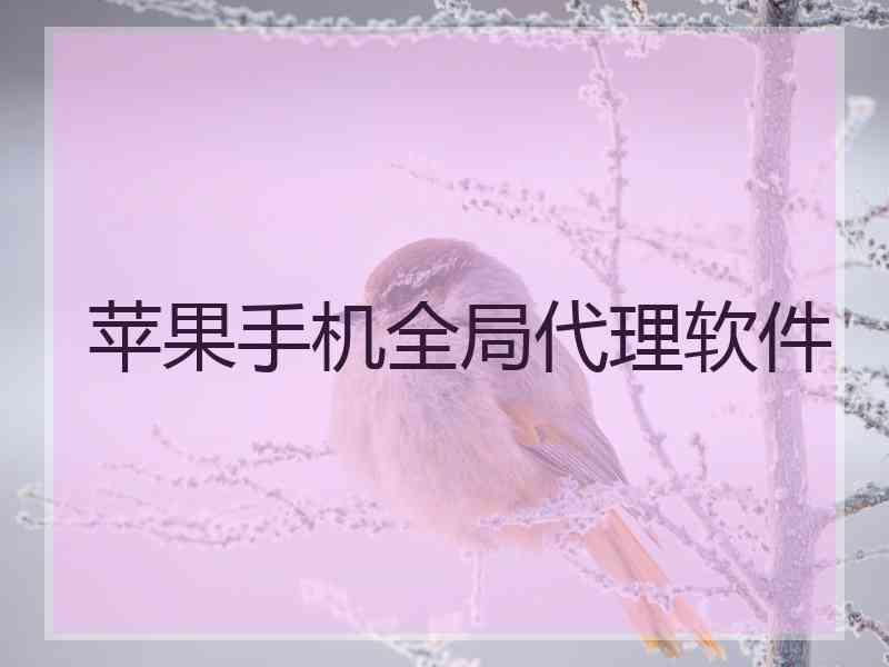 苹果手机全局代理软件