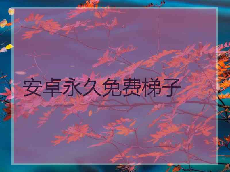 安卓永久免费梯子