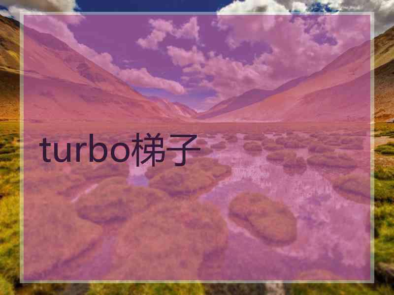 turbo梯子
