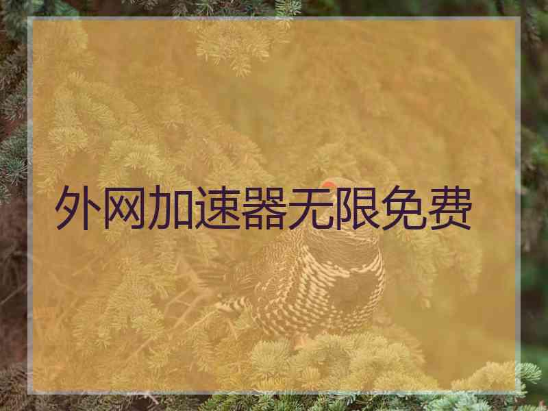 外网加速器无限免费