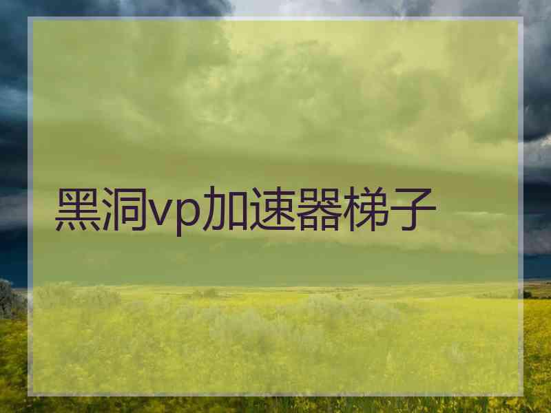黑洞vp加速器梯子
