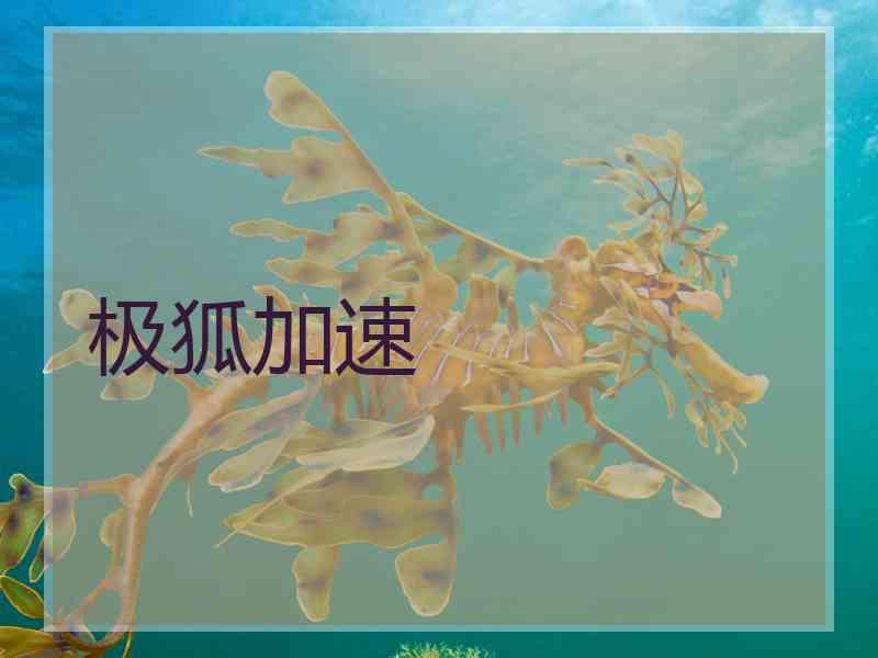 极狐加速