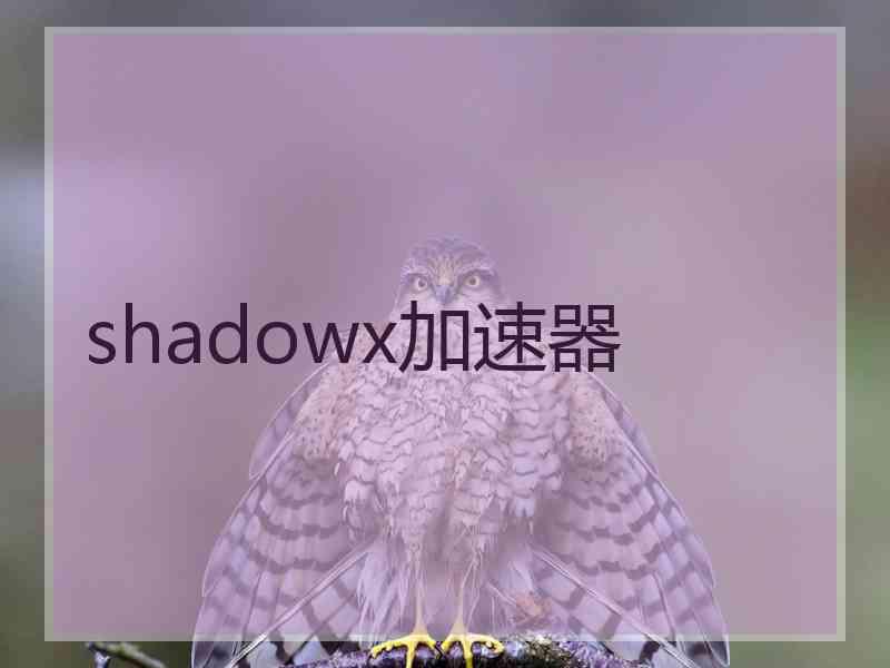 shadowx加速器