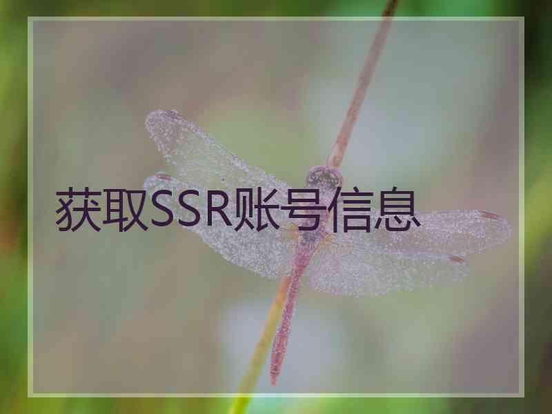 获取SSR账号信息
