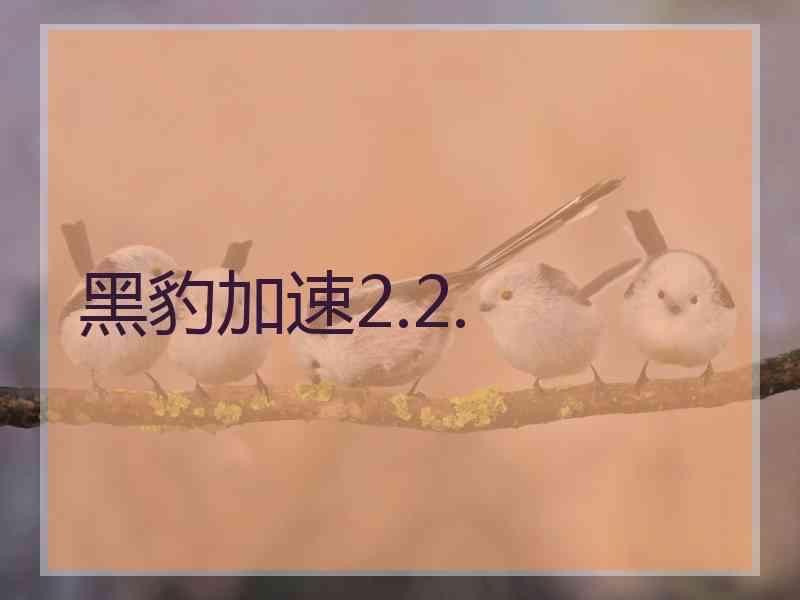 黑豹加速2.2.