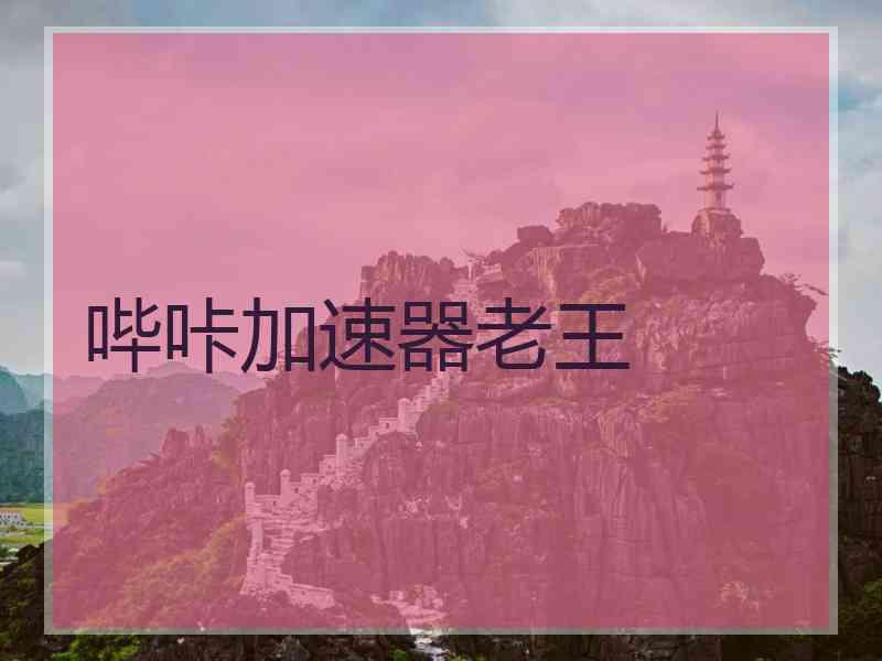 哔咔加速器老王
