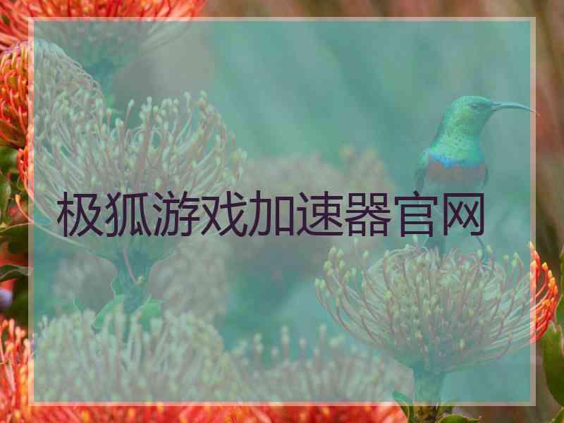 极狐游戏加速器官网