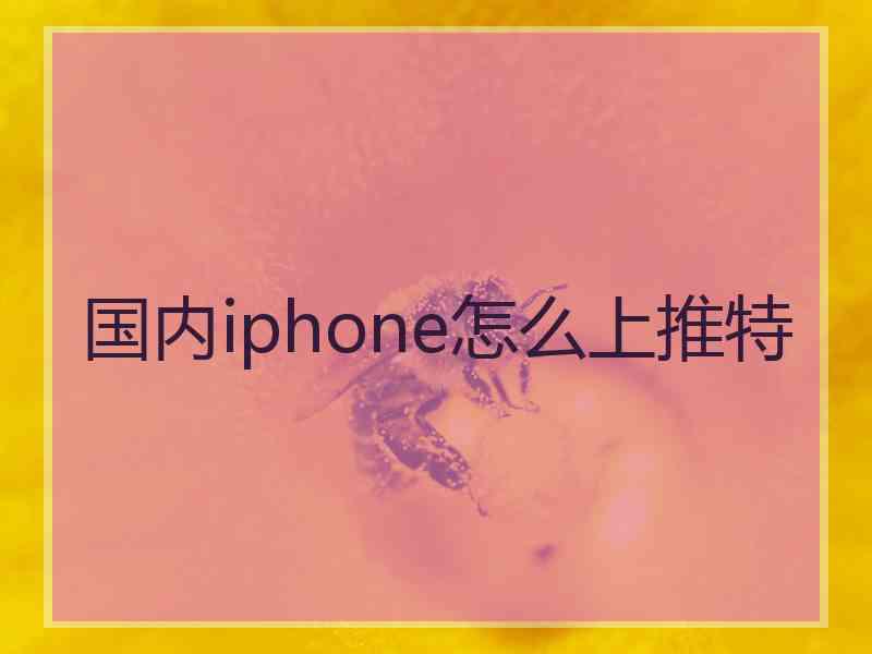 国内iphone怎么上推特