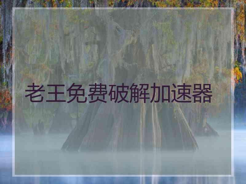 老王免费破解加速器