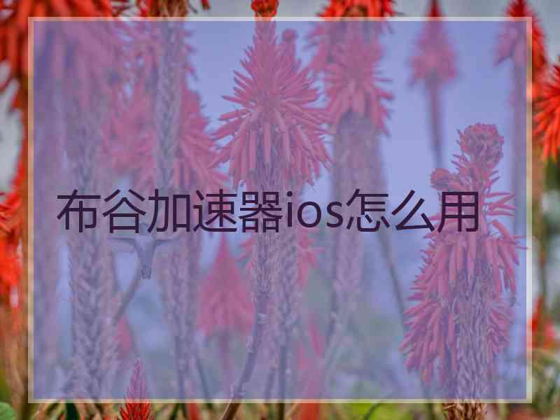 布谷加速器ios怎么用