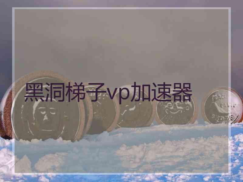 黑洞梯子vp加速器
