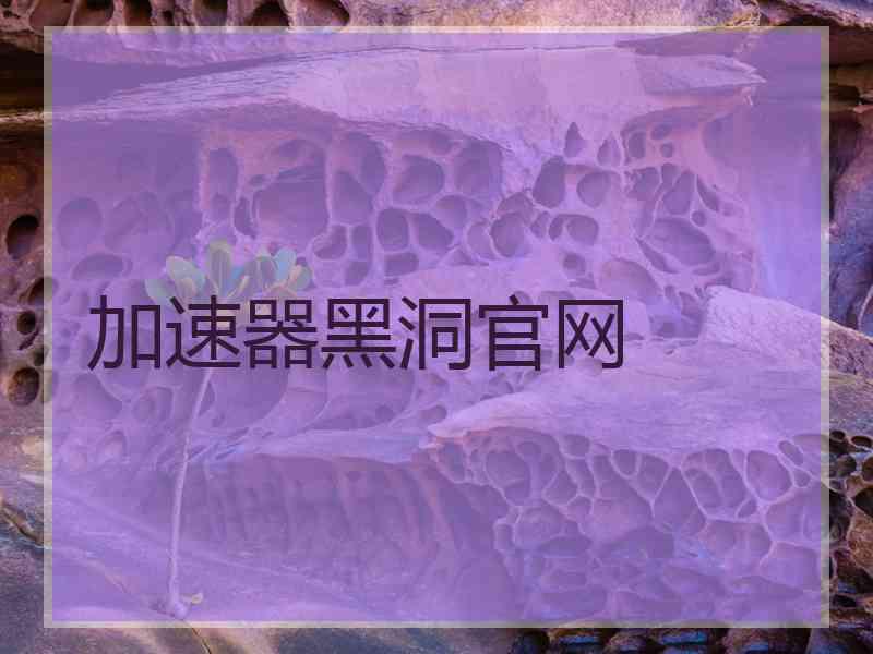加速器黑洞官网