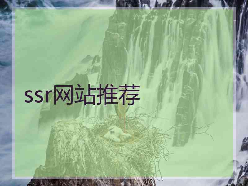 ssr网站推荐