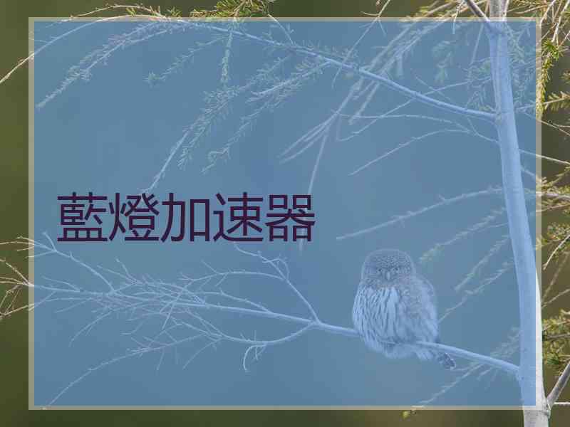藍燈加速器