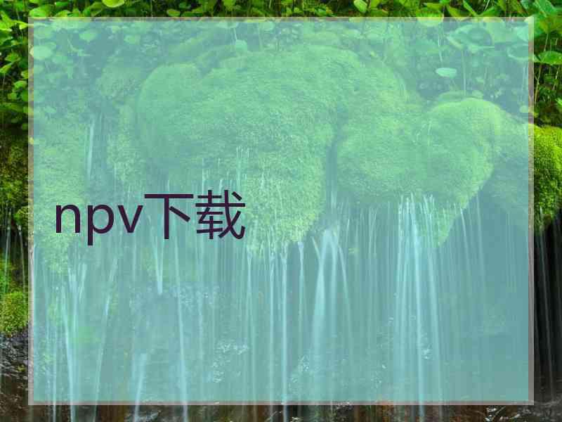 npv下载