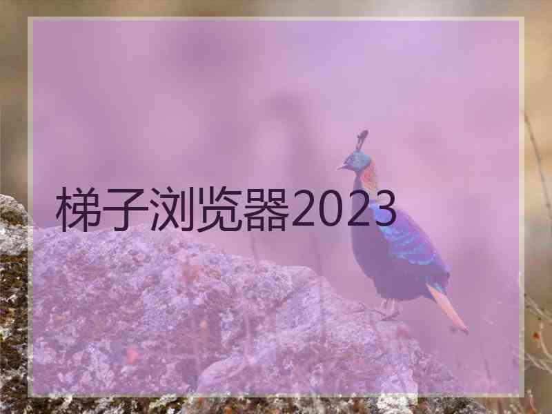 梯子浏览器2023