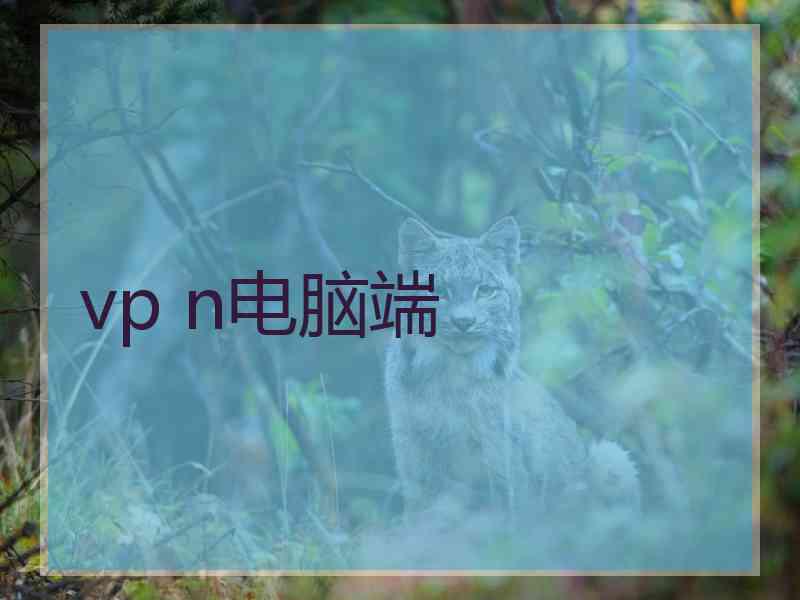 vp n电脑端