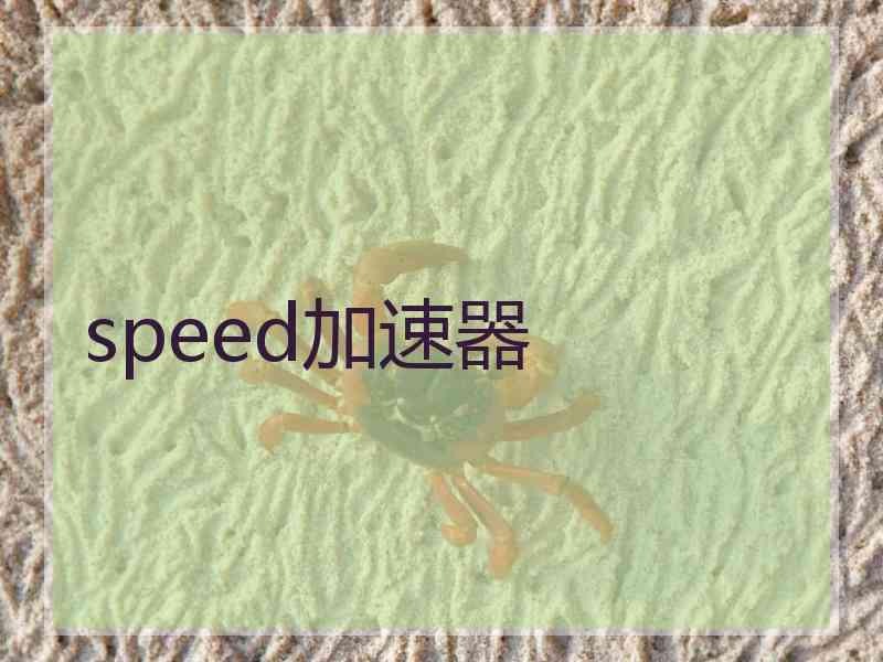 speed加速器