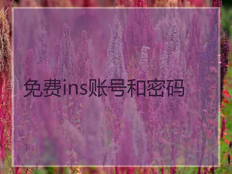 免费ins账号和密码
