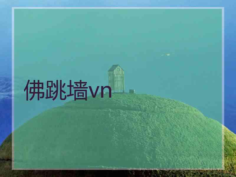 佛跳墙vn