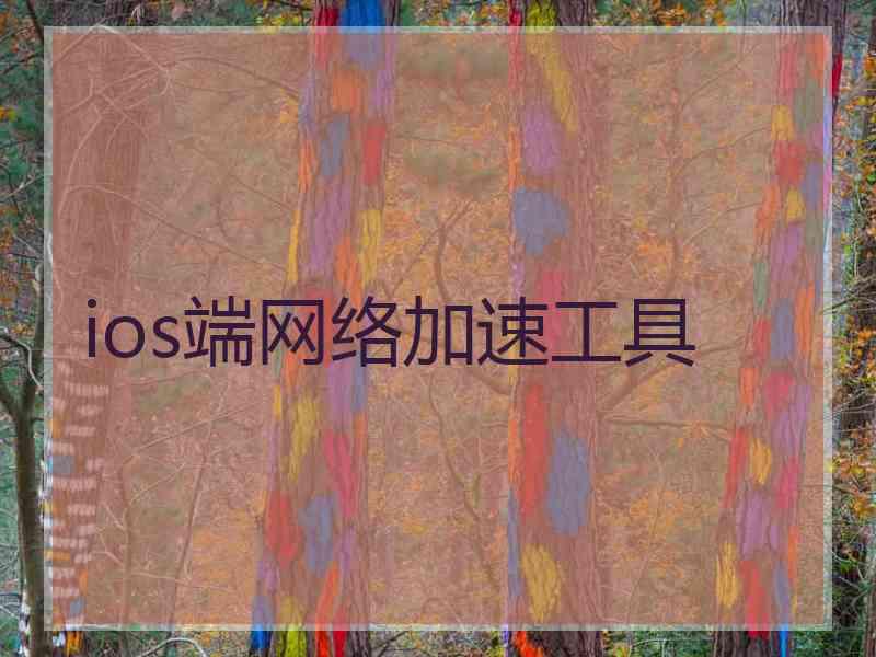 ios端网络加速工具