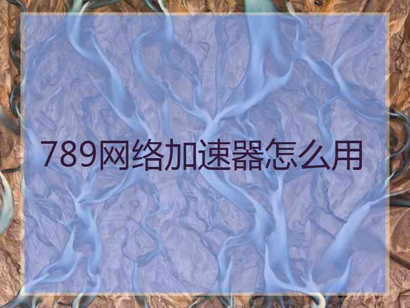 789网络加速器怎么用