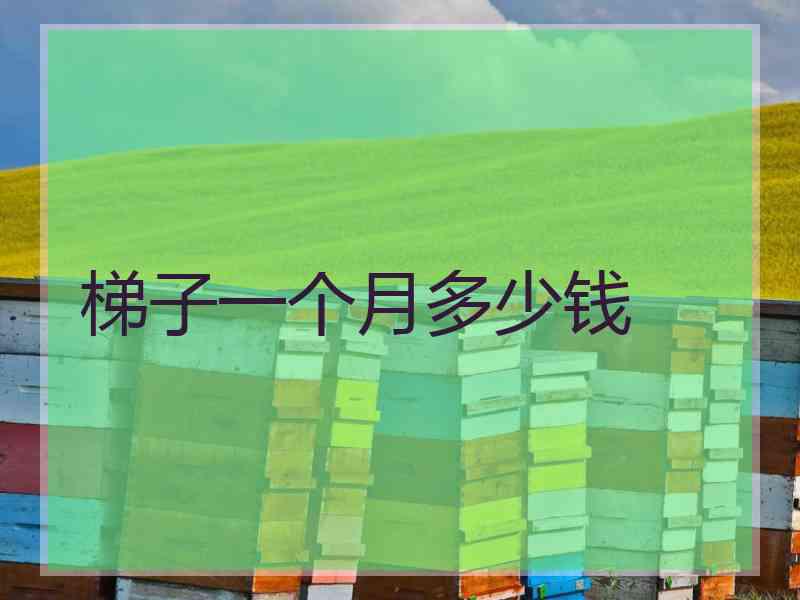 梯子一个月多少钱