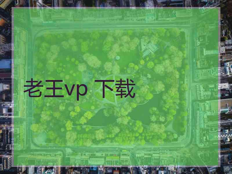 老王vp 下载