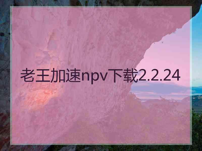 老王加速npv下载2.2.24