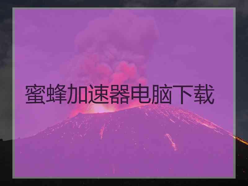 蜜蜂加速器电脑下载