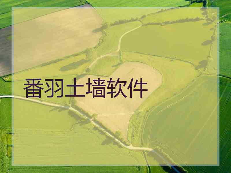 番羽土墙软件