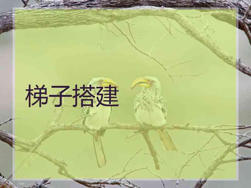 梯子搭建
