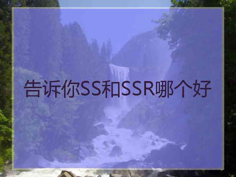 告诉你SS和SSR哪个好