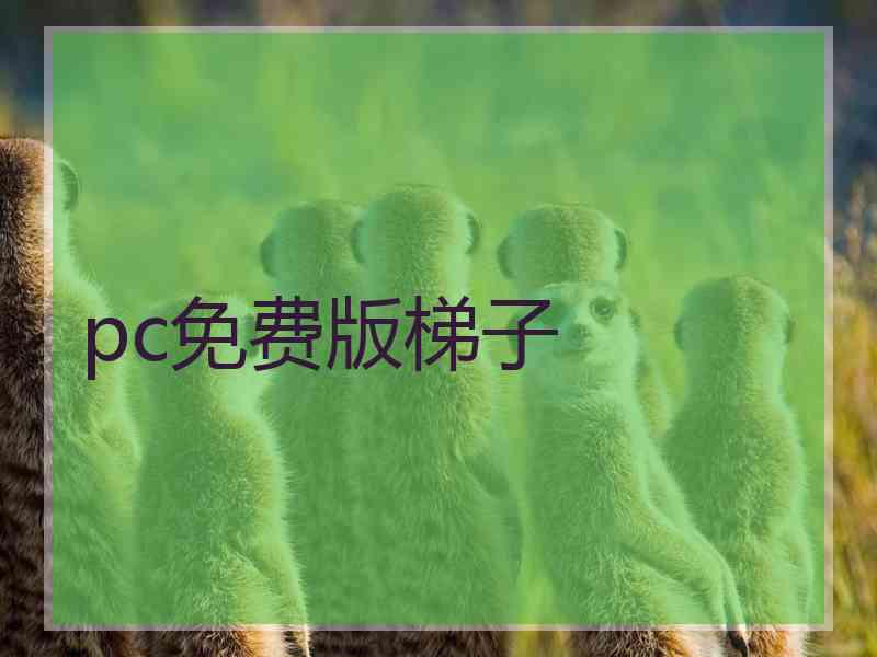 pc免费版梯子