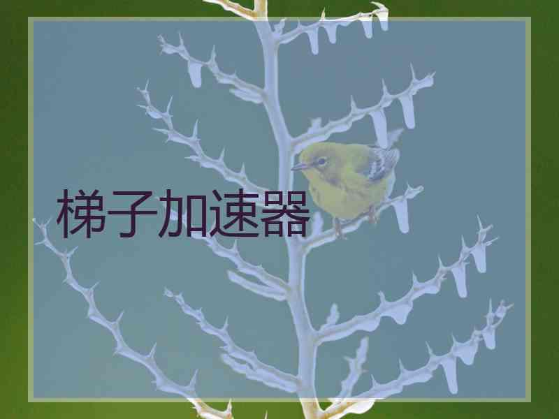 梯子加速器