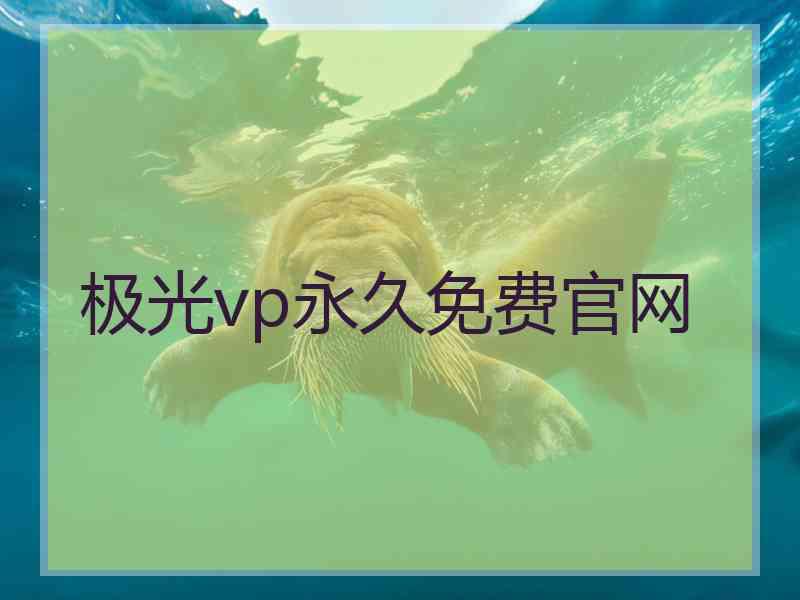 极光vp永久免费官网