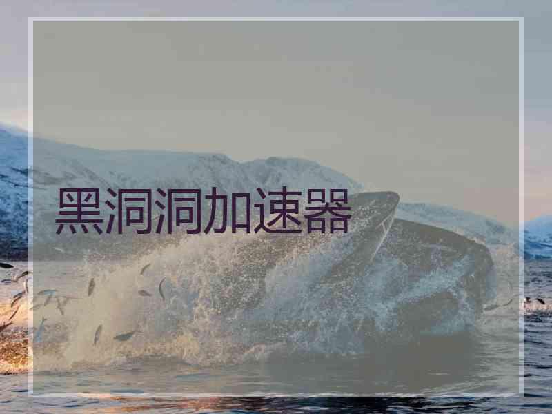 黑洞洞加速器