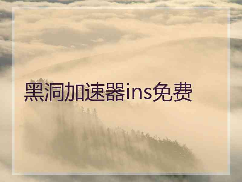 黑洞加速器ins免费