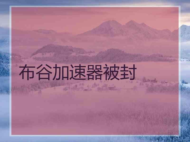布谷加速器被封
