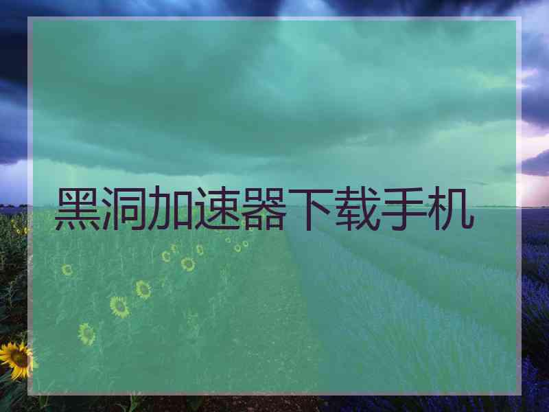 黑洞加速器下载手机