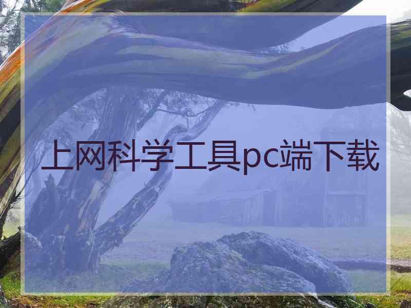 上网科学工具pc端下载