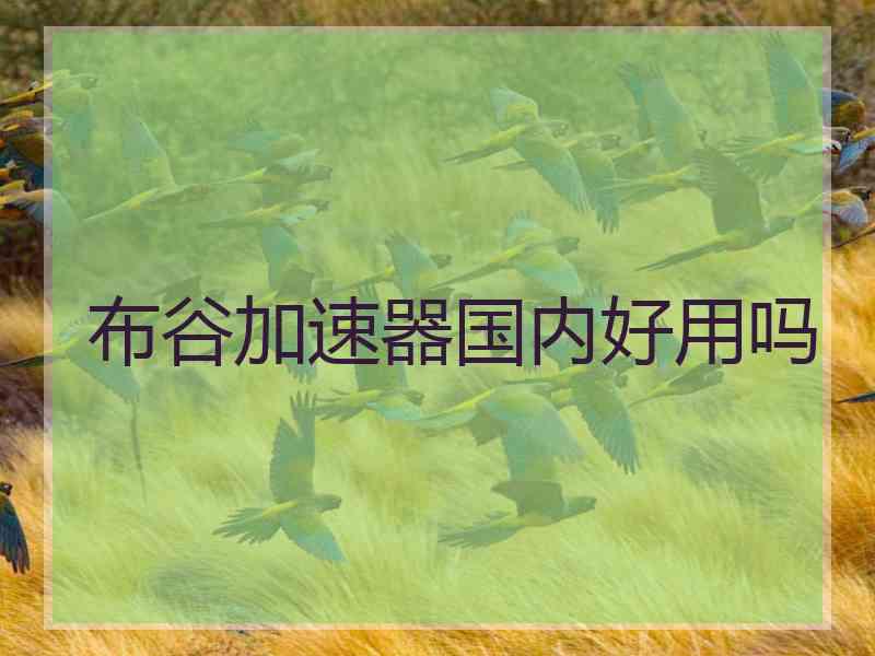 布谷加速器国内好用吗