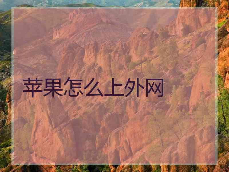 苹果怎么上外网