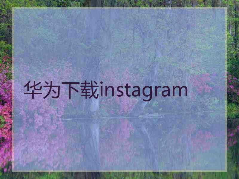 华为下载instagram