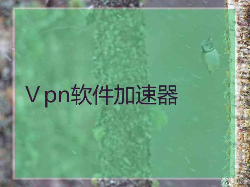 Ⅴpn软件加速器
