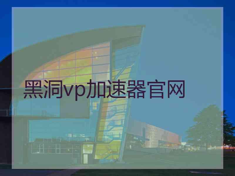 黑洞vp加速器官网