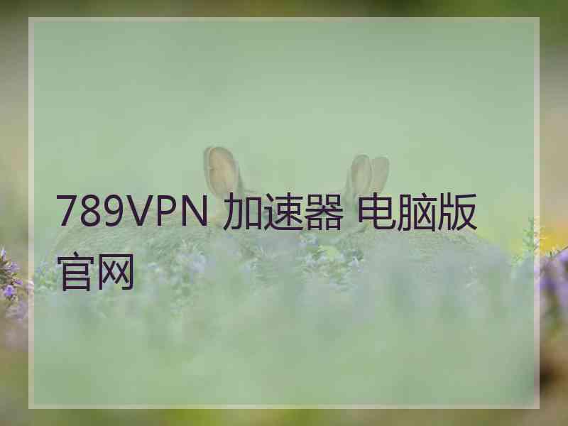 789VPN 加速器 电脑版 官网