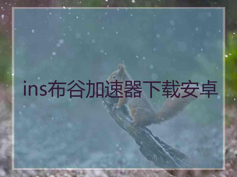ins布谷加速器下载安卓