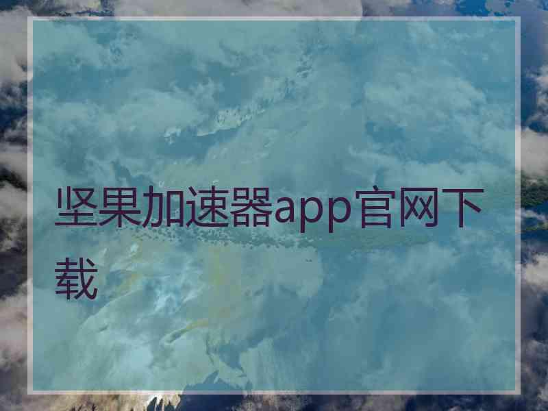 坚果加速器app官网下载